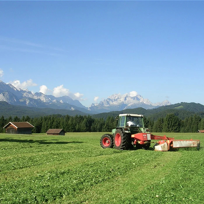 ferlhof-2