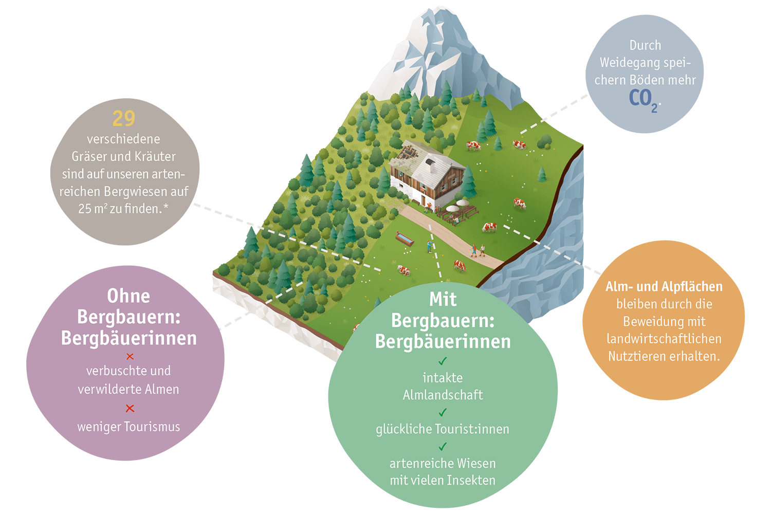 Almen und ihre Bedeutung für die Artenvielfalt Almen und ihre Bedeutung für die Artenvielfalt