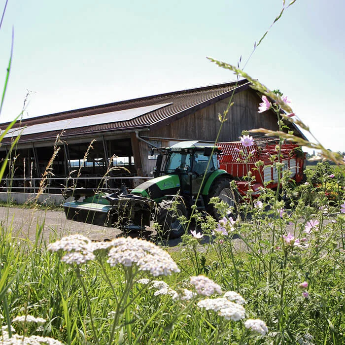 springerhof-2