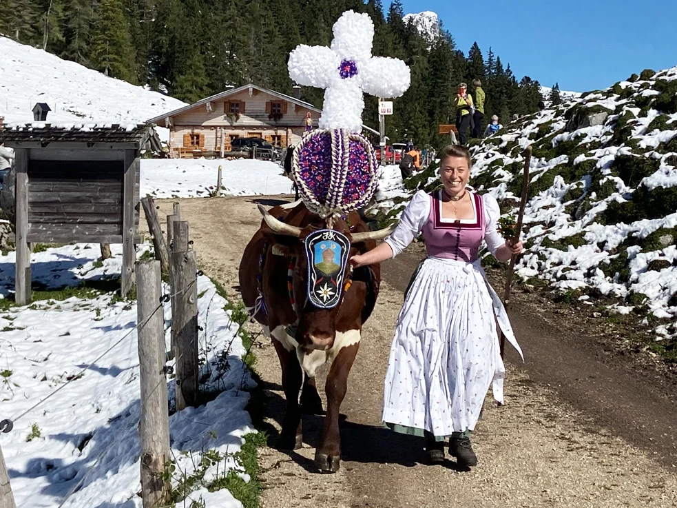 „Aufkranzt“ geht’s nach Hause mit Sennerin Anja Beilhack 
