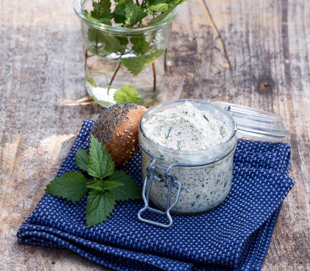 aufstrich-brennnessel-mohn-butter-topfen