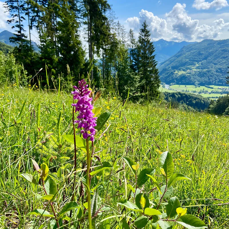 geigelstein-highlight1
