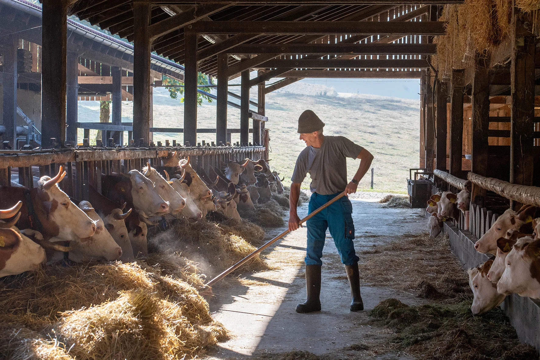 Die Bio-Pioniere der Molkerei Berchtesgadener Land: Die Landwirtefamilie Ackermann 