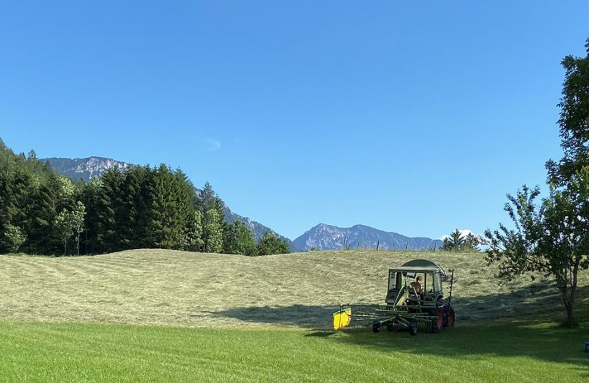 21_06_Heuernte 2021_web