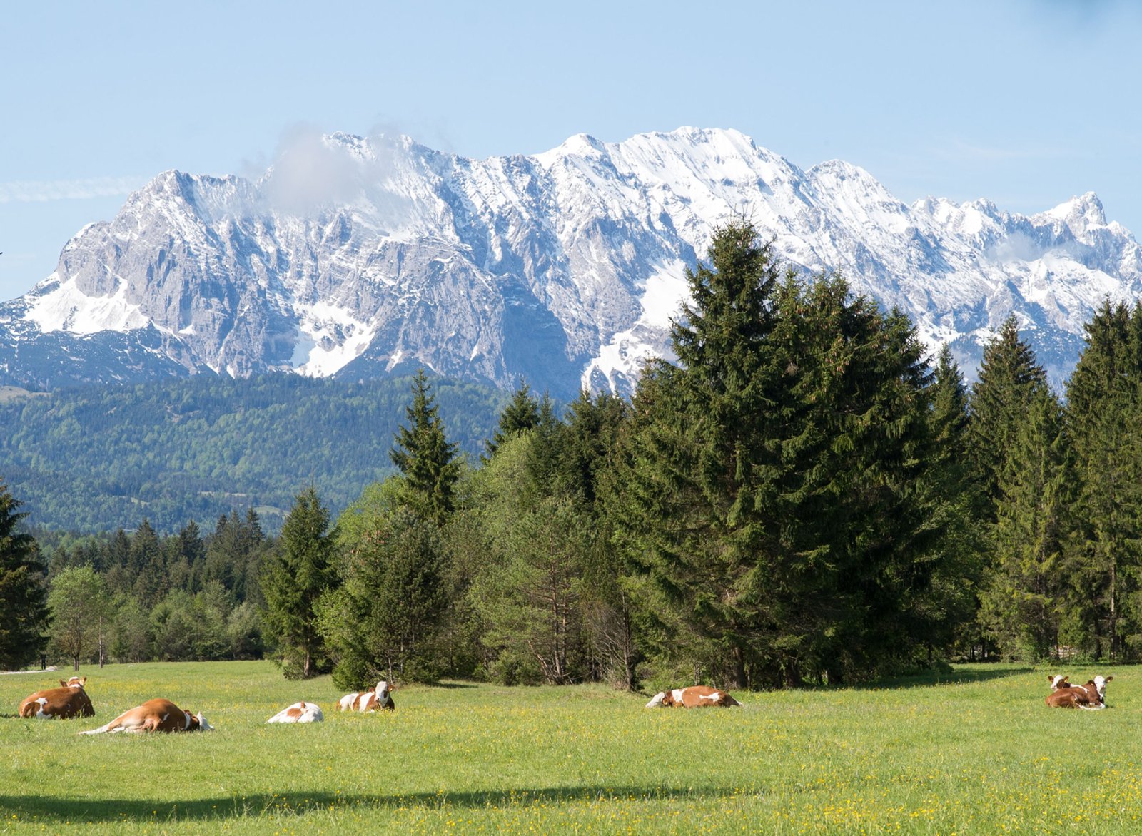 „Landwirte betreiben Klimaschutz vor unserer Haustüre“ „Landwirte betreiben Klimaschutz vor unserer Haustüre“
