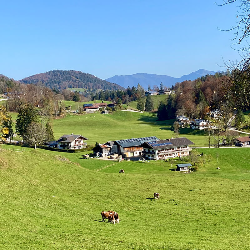 gernerhoehenweg-station9-5