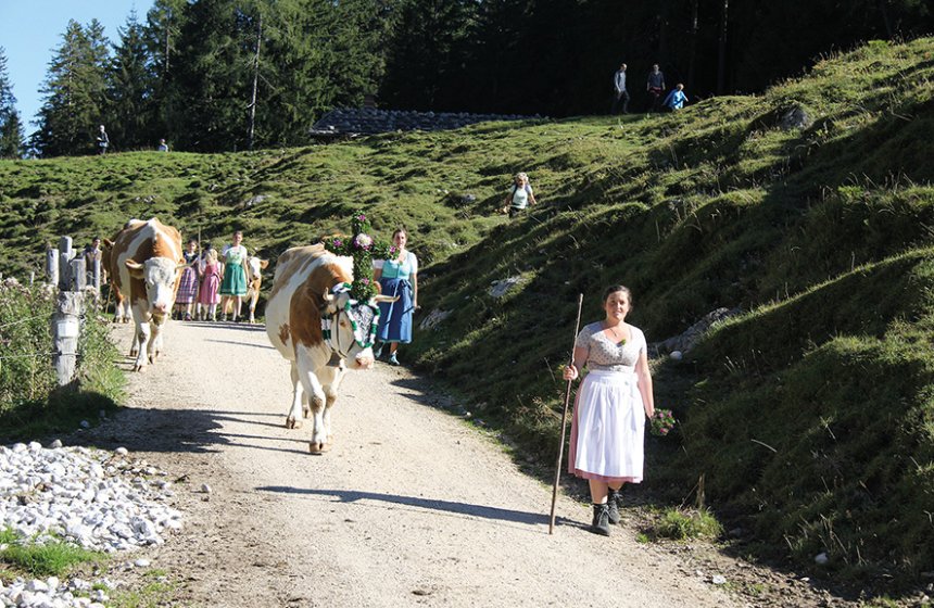 Almabtrieb_Mordaualm_FaMaltanGschosslehen_Sennerin-ReginaLangschartner_RGB_0415