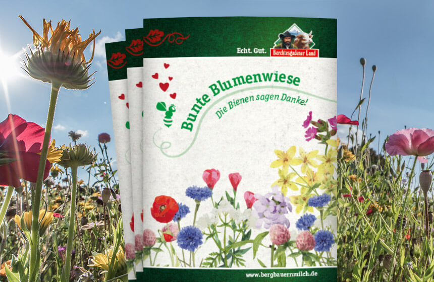 blumenwiese