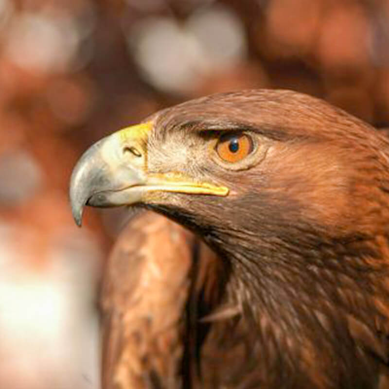 geigelstein-highlight2-3