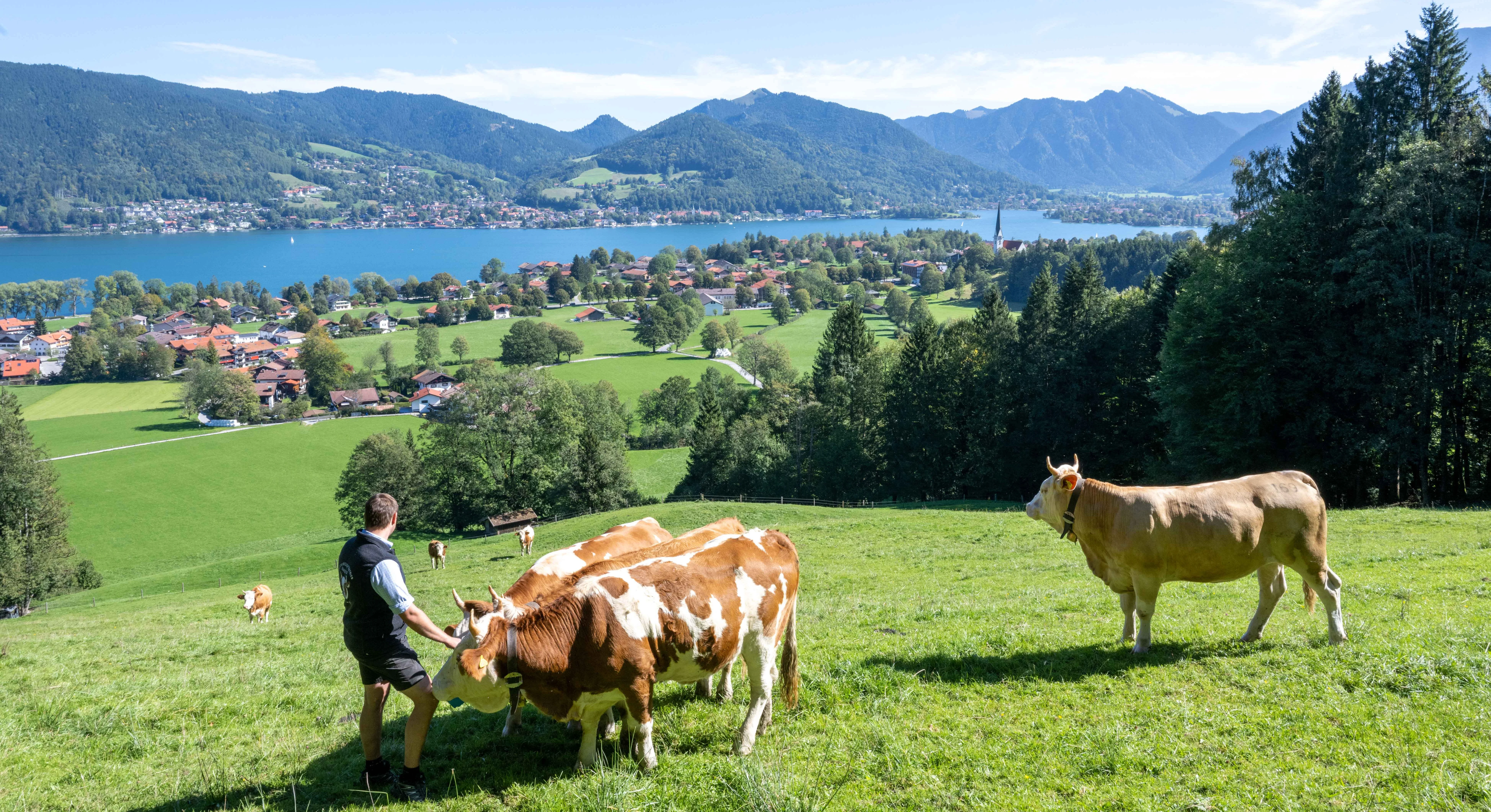 Grasen, wo andere Urlaub machen