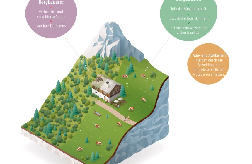 Molkerei_BGL-Illustration-Kulturlandschaft-Tourismustag_RGB