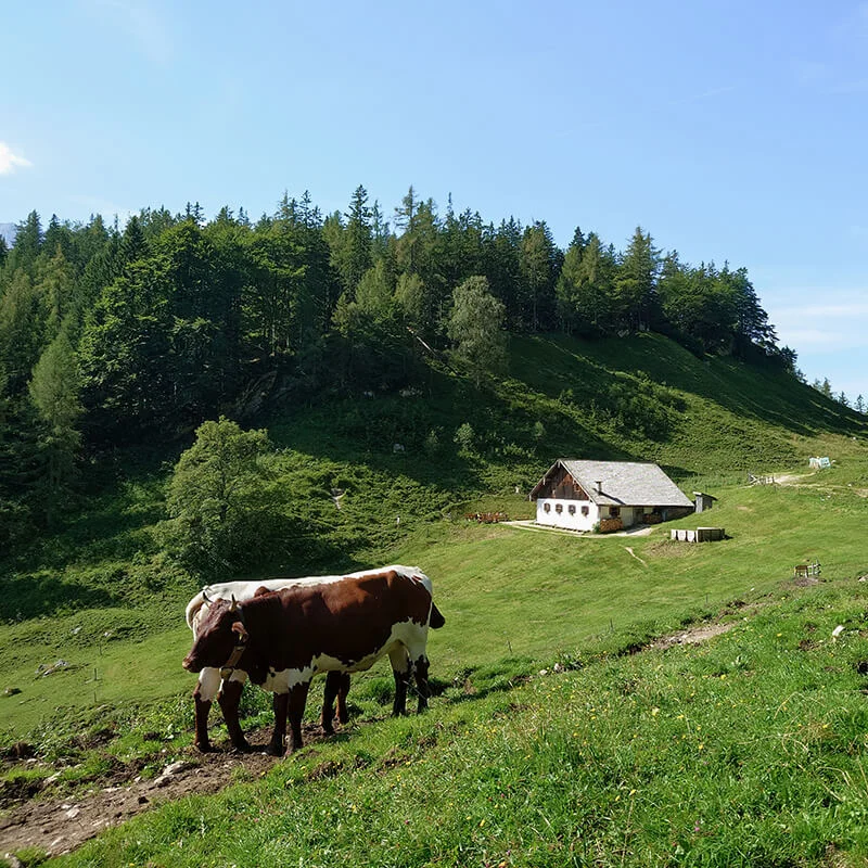 halsalm-station1-1