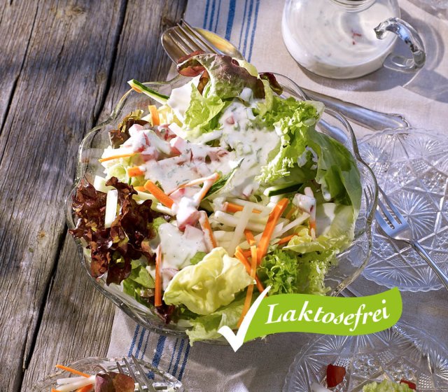 blattsalate-mit-mit-joghurtdressing-laktosefrei
