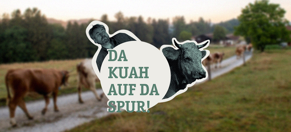 home-da-kuah-auf-da-spur