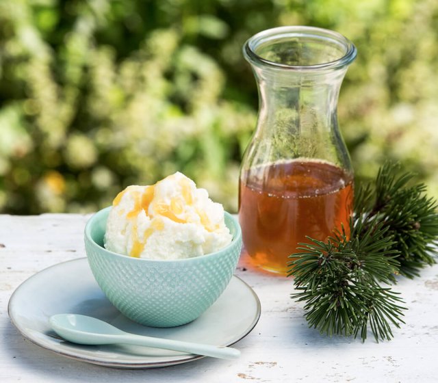 latschenkiefer-sorbet