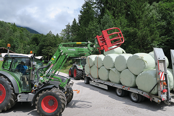 Erste Hilfe für Bauern am Jochberg