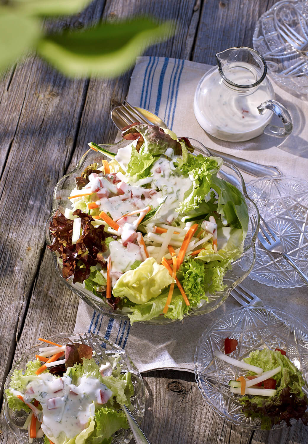 Frische Blattsalate mit Gemüsestreifen