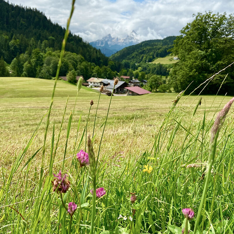 gernerhoehenweg-station3-1