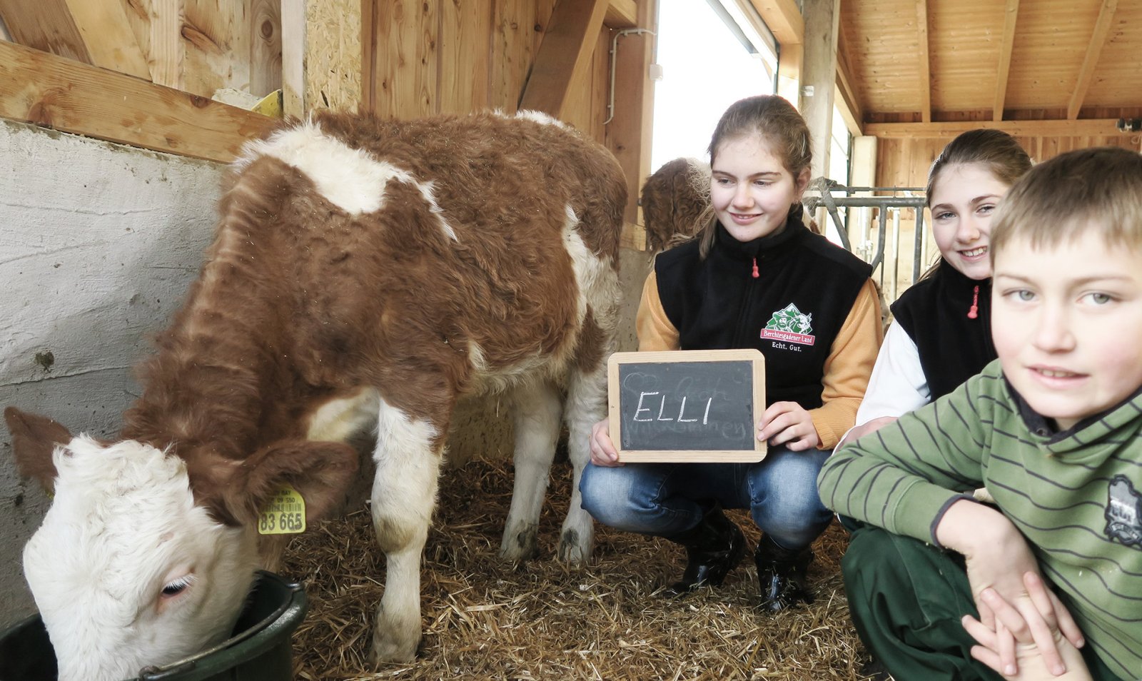 Susi ist der beliebteste Name - im Stall Susi ist der beliebteste Name - im Stall