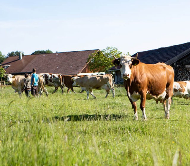 beratung-weideseminar