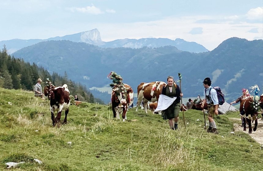 Sennerin_Halsalm_web