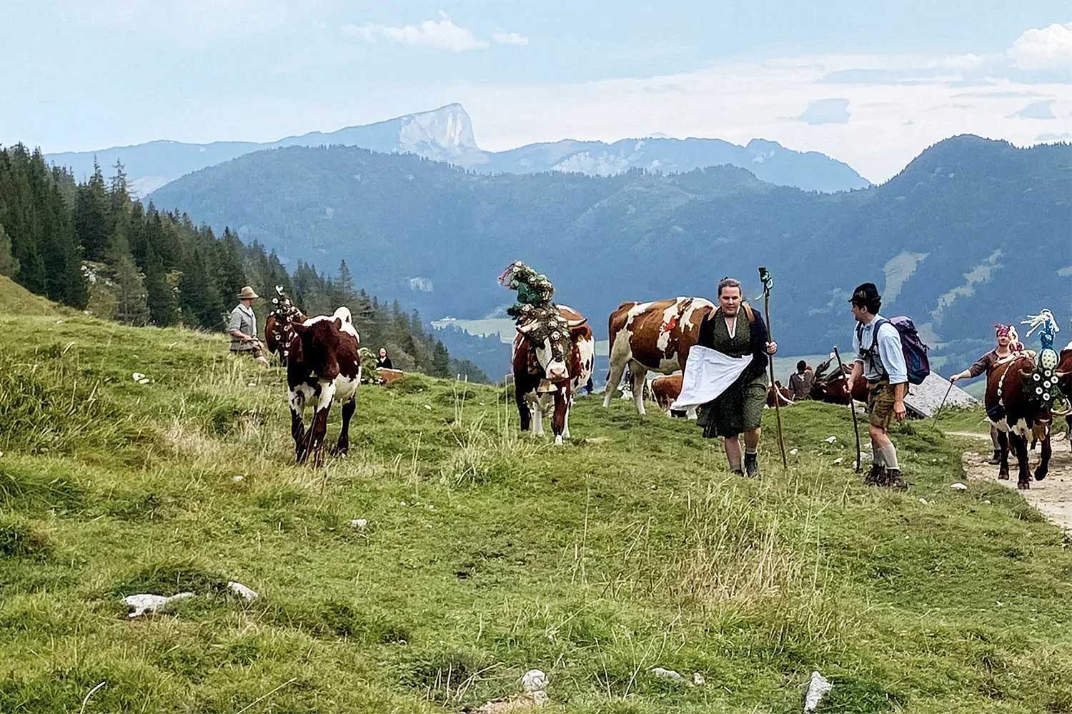 Kulturerbe Alm: Wie Milch die Natur schützt&nbsp;
