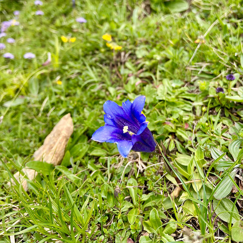 geigelstein-highlight1-2