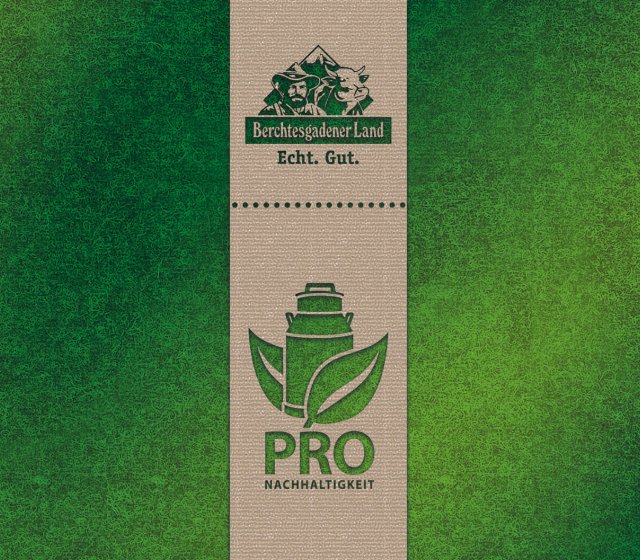 nachhaltigkeitsbericht