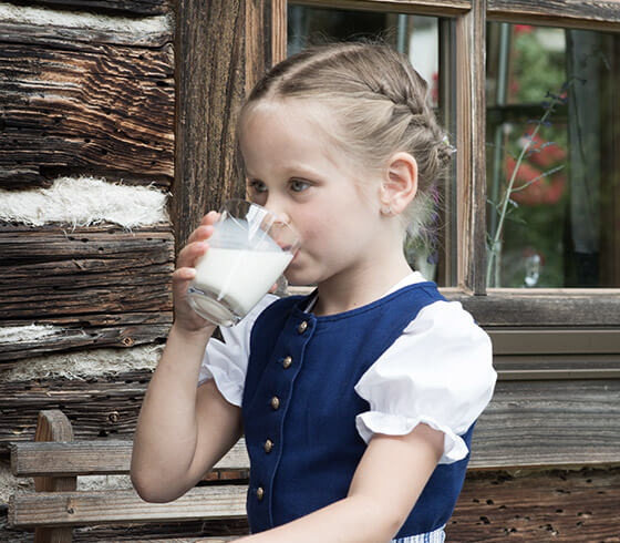 Almabtrieb von der auf 618 Meter gelegenen Fischunkelalm auf das über 800 Meter hoch gelegene Grafllehen