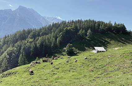 MolkereiBGL_Halsalm_RGB_IMG_0118_WEB (2)