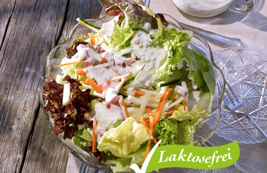blattsalate-mit-mit-joghurtdressing-laktosefrei