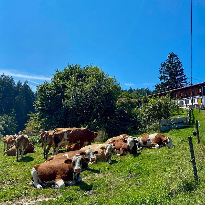 mangfalltal-station3-2