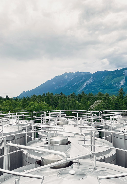 teaser-home-molkerei