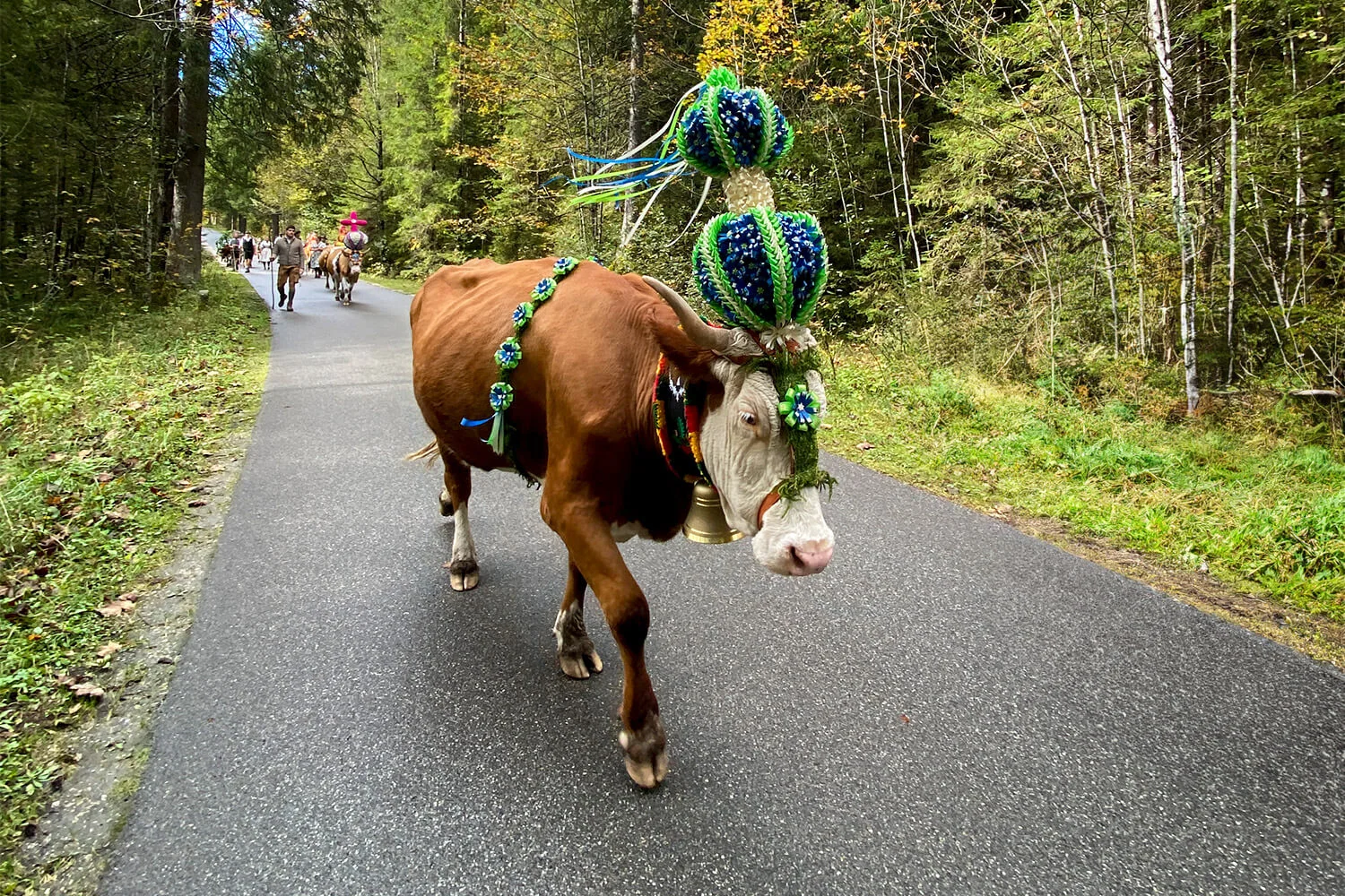 Einhorn auf der Alm