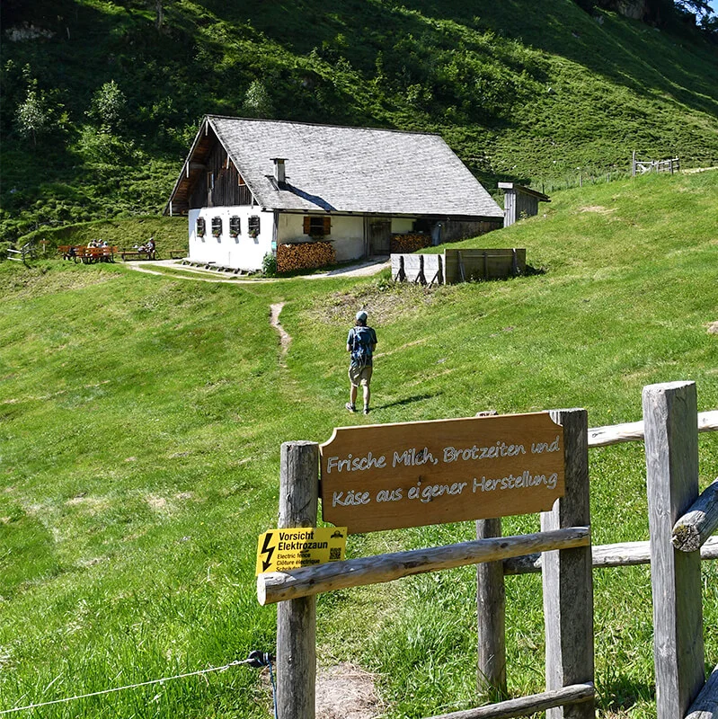 halsalm-station5-1