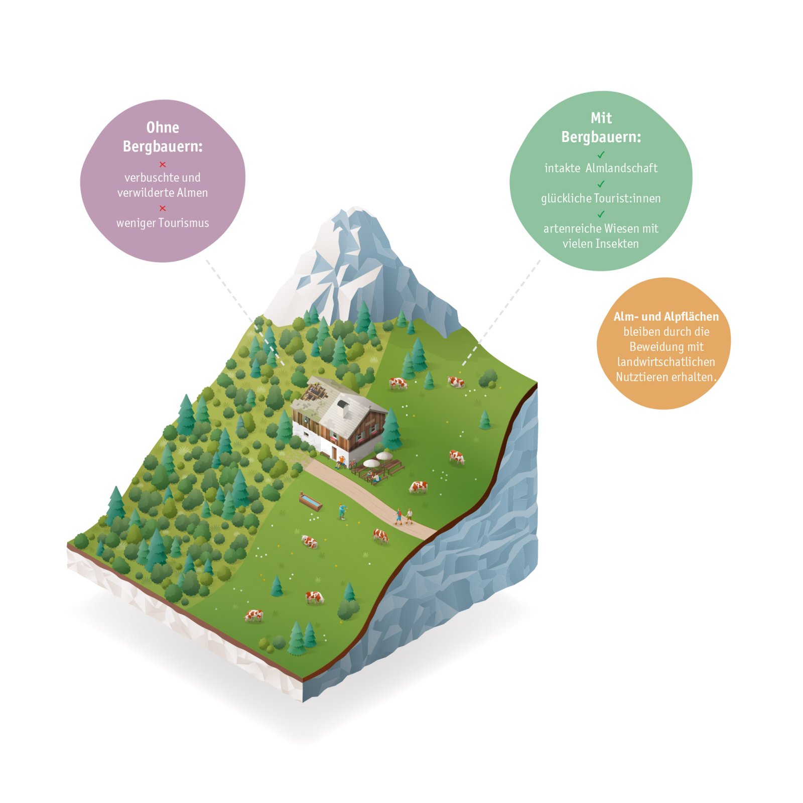 Landwirtschaft sichert Tourismus im Alpenraum