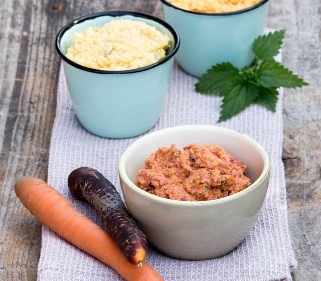 aufstrich-karotten-topfen