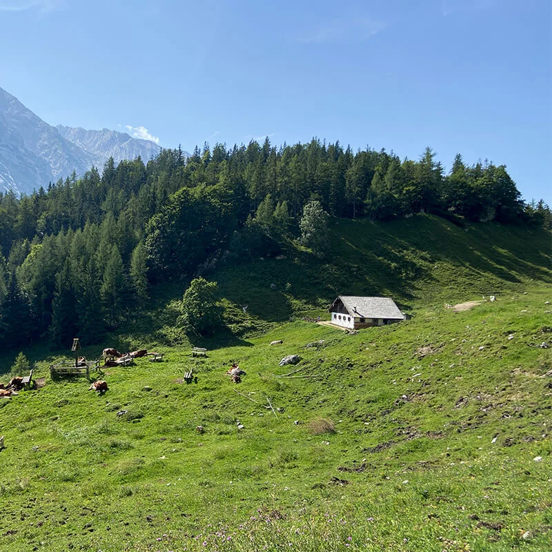 halsalm-station1-3