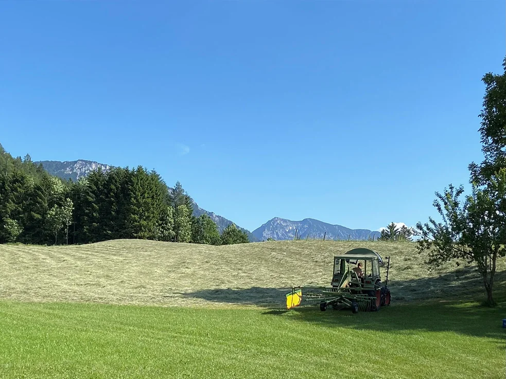 Trockenperiode mit heißem Sommerwetter sichert optimale Heuqualität 