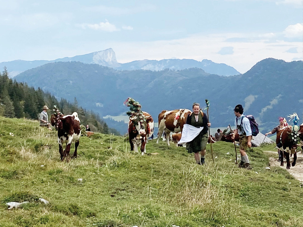 Almabtrieb im Berchtesgadener Land