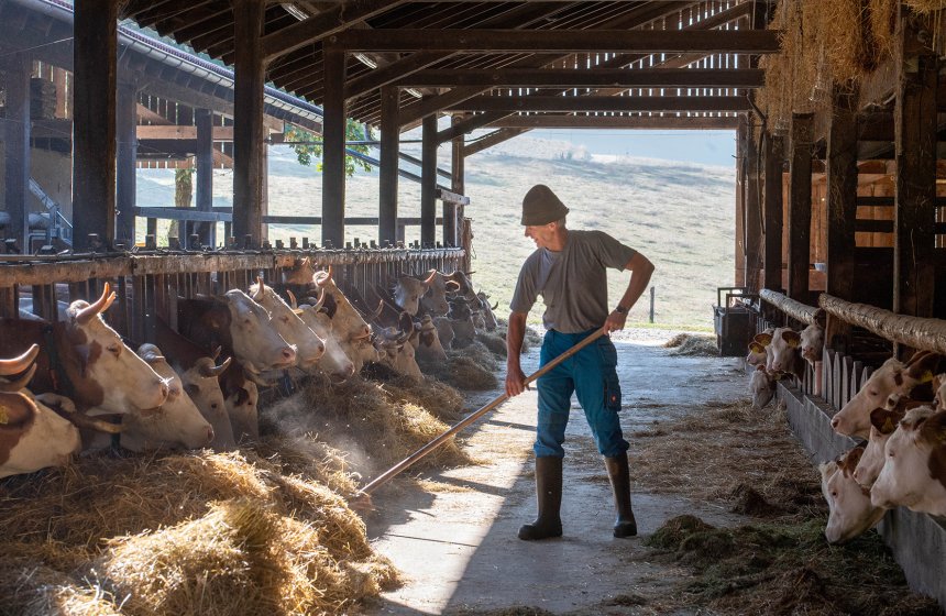 Molkerei_BGL_Ackermann_Stall_RGB