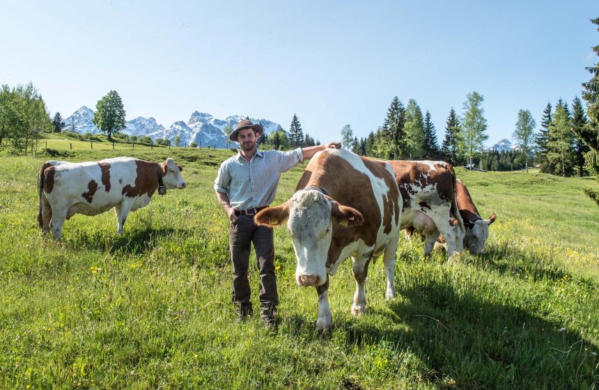 Kramer_Weidekuehe_9397_RGB