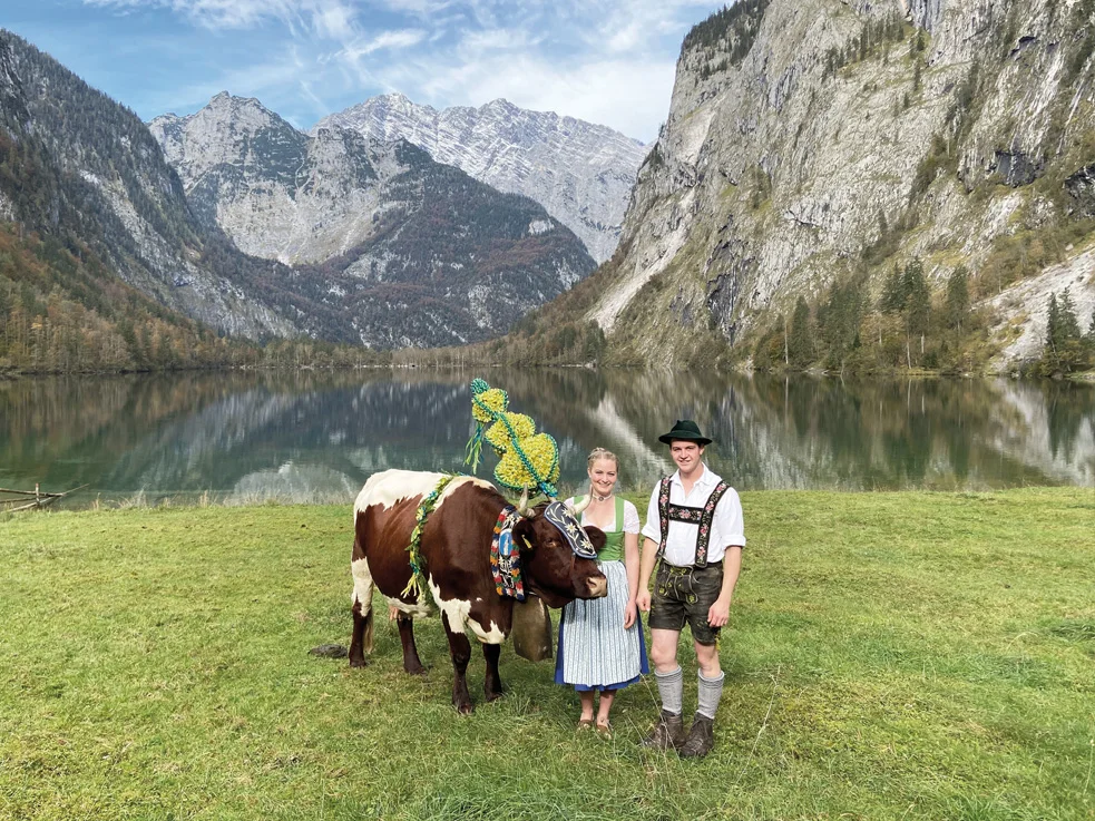 Almabtrieb von der auf 618 Meter gelegenen Fischunkelalm auf das über 800 Meter hoch gelegene Grafllehen
