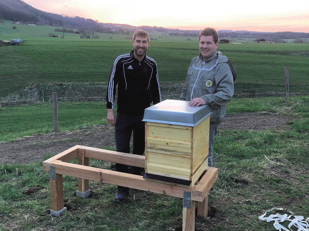 Bienen statt Joghurt aus der Arbeit mitgebracht