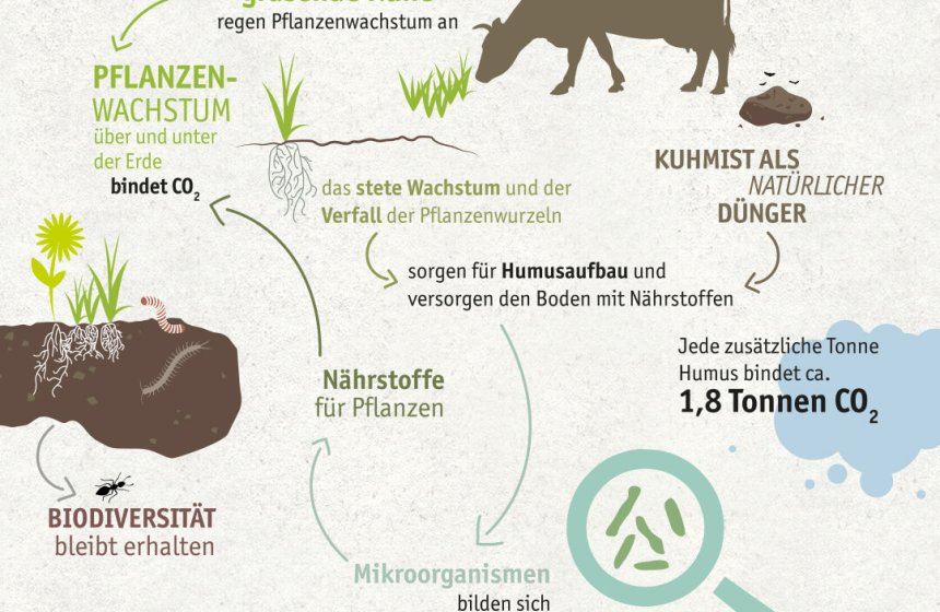 Molkerei-BGL-Duengekreislauf-RGB