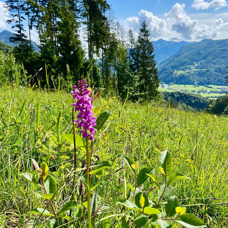 geigelstein-highlight1