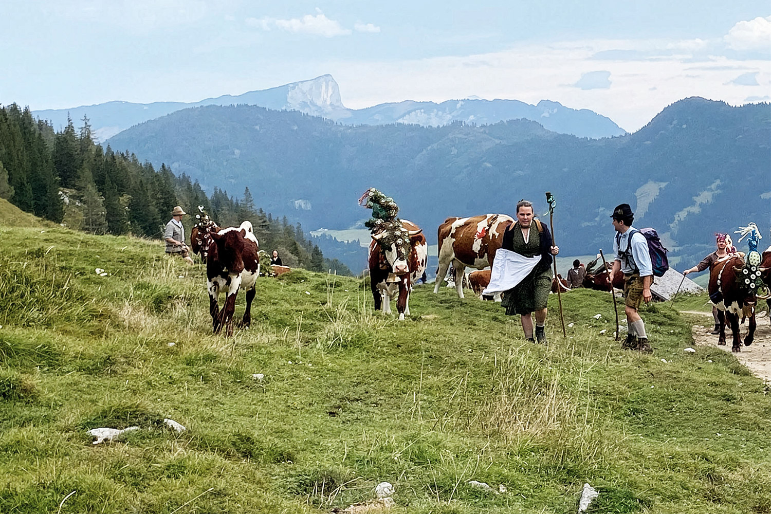 Kulturerbe Alm: Wie Milch die Natur schützt&nbsp;