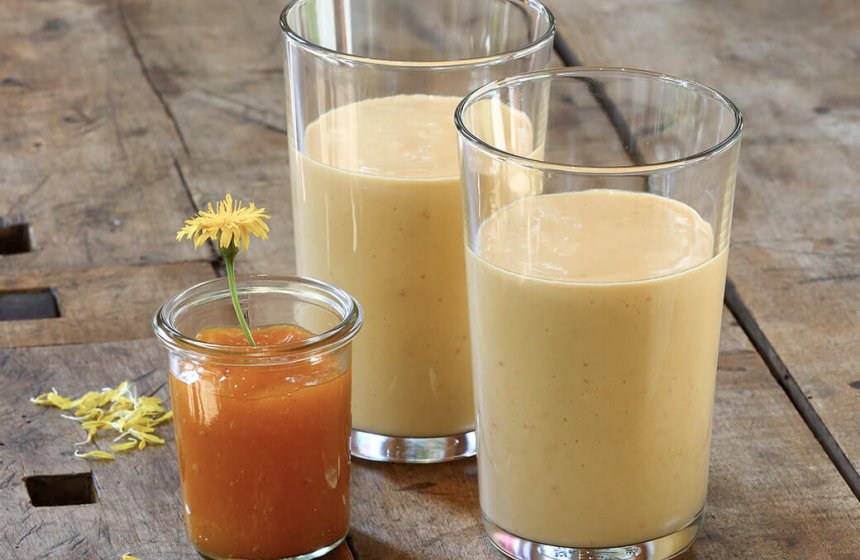 marille-loewenzahl-milch