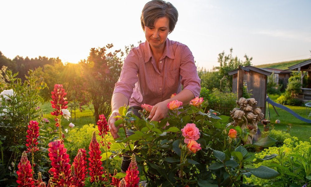 Molkerei_BGL_Morgensonne