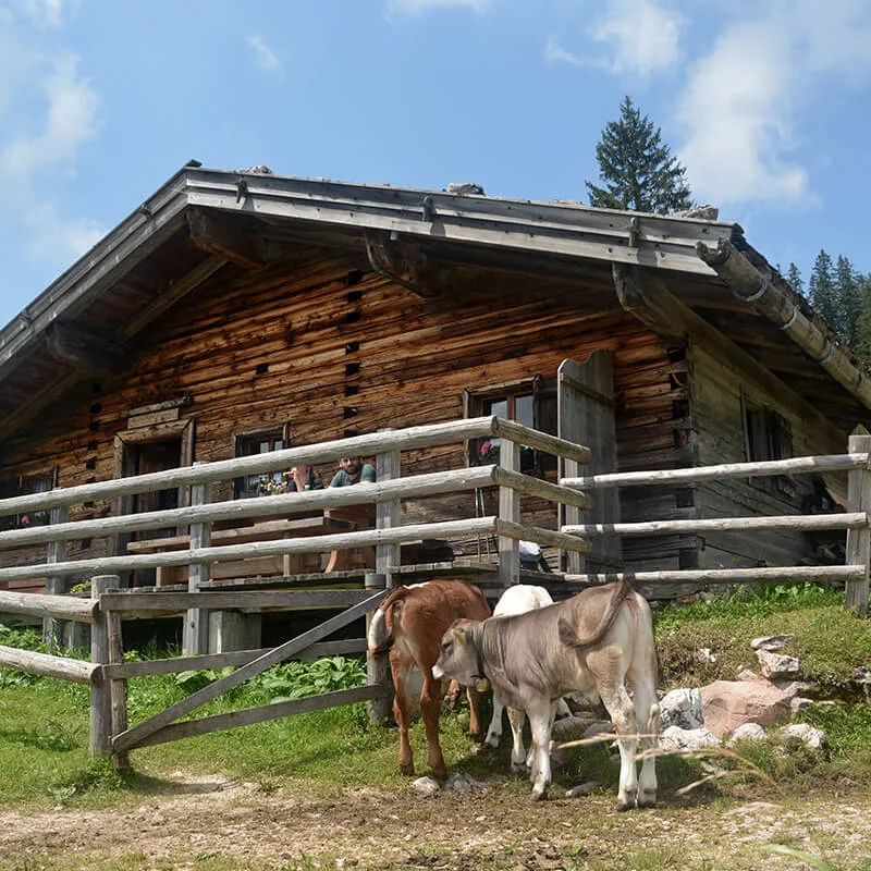 mordau-station5-2